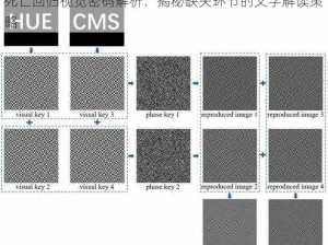 死亡回归视觉密码解析：揭秘缺失环节的文字解读策略