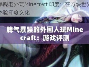 暴躁老外玩Minecraft 印度：在方块世界体验印度文化