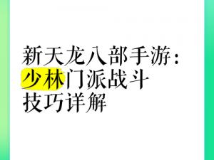 天龙八部3D少林PK实战指南：少林门派战斗技巧深度解析与对战策略分享