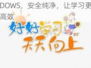 高清小学生专用 VPSWINDOWS，安全纯净，让学习更高效