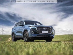 国产 SUV 精品一区二：性能卓越，空间宽敞，配置丰富，安全可靠