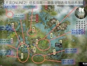 《天涯ONLINE2：终极指南——最强宠物选择与培养策略》