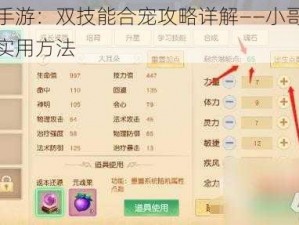 天下手游：双技能合宠攻略详解——小哥教你两种实用方法