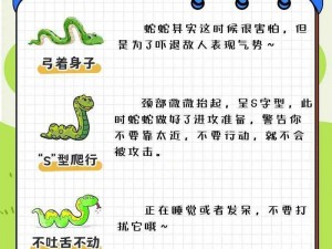 淘奇蛇：其独特魅力与实力的解析