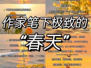 能让你流水的故事 1000 字——让你体验极致快感的成人用品