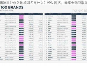 猫咪国外永久地域网名是什么？VPN 网络，畅享全球互联网