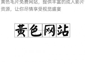 黄色毛片免费网站，提供丰富的成人影片资源，让你尽情享受视觉盛宴