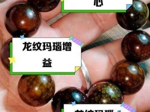 太极熊猫3猎龙版：龙纹的奥秘与实用指南——获取龙纹的方式与龙纹的强大功能揭秘