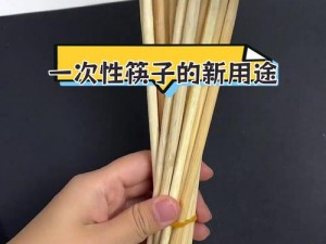 主上用筷子罚——创意实用的新型筷子