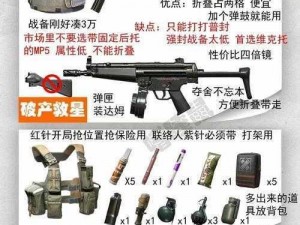 守望先锋武器指南：深度解析各类武器特性与战术应用