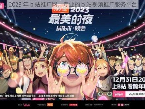 2023 年 b 站推广网，专业的 b 站视频推广服务平台