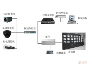 生生不息安装指南：详细配置说明与操作教程