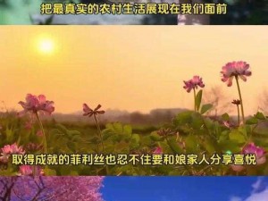 老李的快乐生活 35 集好物分享，让生活更美好