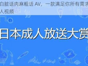 对白脏话肉麻粗话 AV，一款满足你所有需求的成人视频