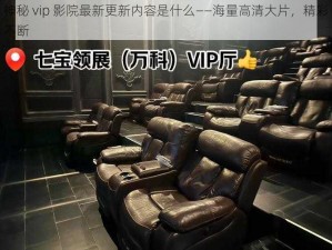 神秘 vip 影院最新更新内容是什么——海量高清大片，精彩不断