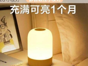 506 寝室的灯灭了小莲灯以后，你可以使用 led 小夜灯