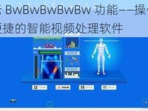 老 BwBwBwBwBw 功能——操作便捷的智能视频处理软件