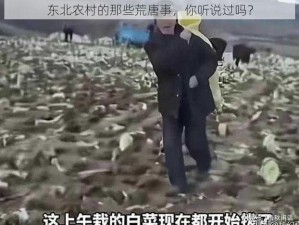 东北农村的那些荒唐事，你听说过吗？