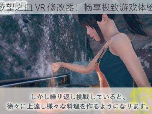 欲望之血 VR 修改器：畅享极致游戏体验