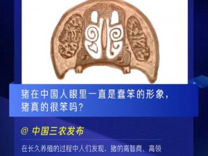 好奇这些词语都是什么意思，它们有什么相同点和不同点？