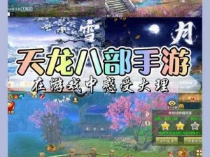 天龙八部3D大理宝石全方位解析：技能加点指南与推荐攻略