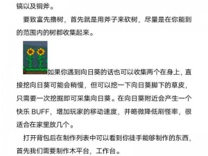 泰拉瑞亚火把之神触发攻略：揭秘神秘机制与操作指南