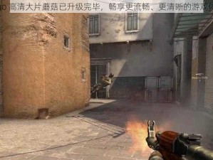 csgo 高清大片蘑菇已升级完毕，畅享更流畅、更清晰的游戏体验