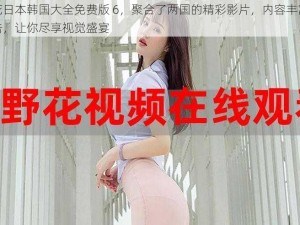 野花日本韩国大全免费版 6，聚合了两国的精彩影片，内容丰富无广告，让你尽享视觉盛宴