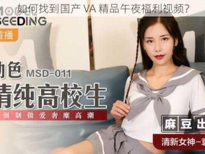 如何找到国产 VA 精品午夜福利视频？