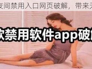 100 款夜间禁用入口网页破解，带来无限精彩