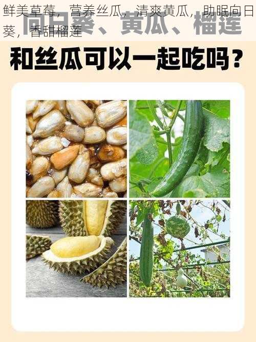 鲜美草莓，营养丝瓜，清爽黄瓜，助眠向日葵，香甜榴莲