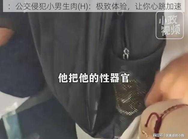 ：公交侵犯小男生肉(H)：极致体验，让你心跳加速