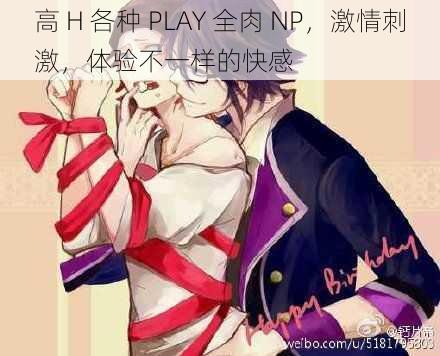 高 H 各种 PLAY 全肉 NP，激情刺激，体验不一样的快感