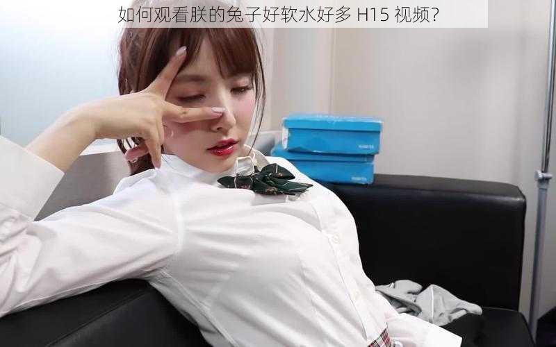 如何观看朕的兔子好软水好多 H15 视频？