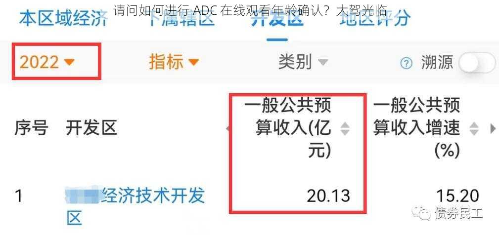 请问如何进行 ADC 在线观看年龄确认？大驾光临