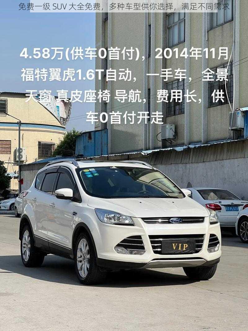 免费一级 SUV 大全免费，多种车型供你选择，满足不同需求