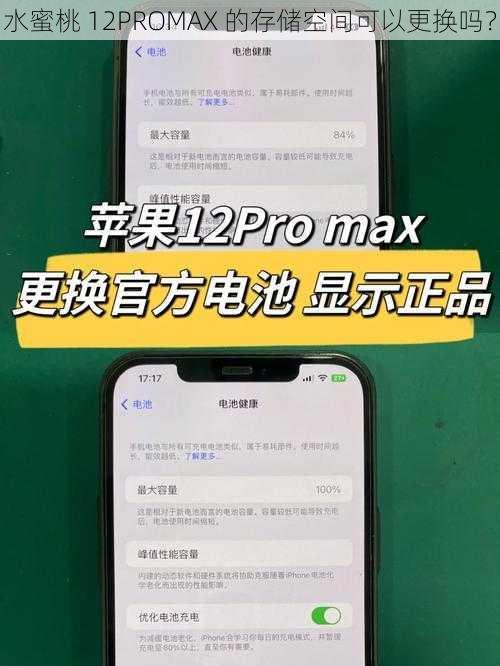 水蜜桃 12PROMAX 的存储空间可以更换吗？