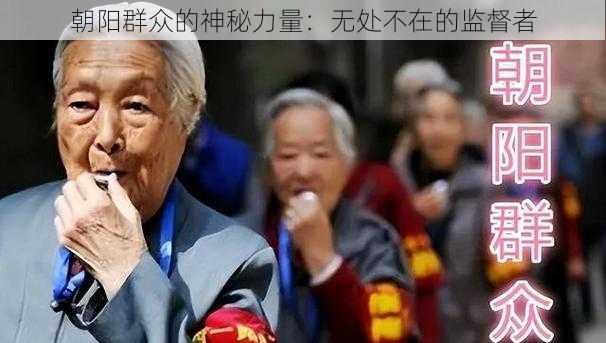 朝阳群众的神秘力量：无处不在的监督者