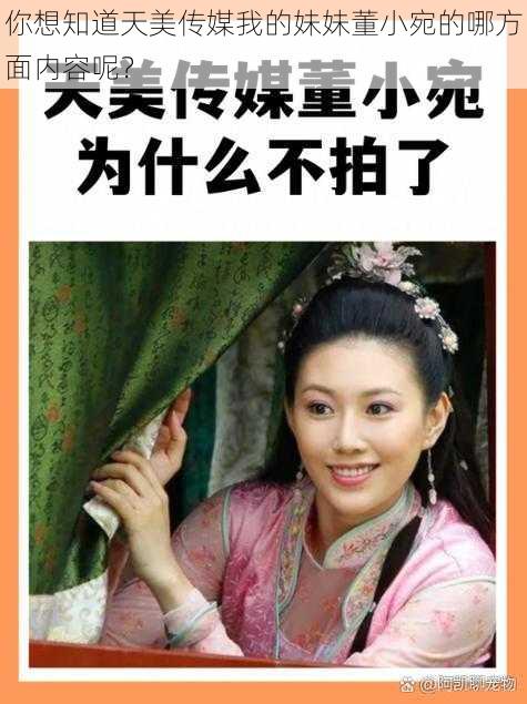 你想知道天美传媒我的妹妹董小宛的哪方面内容呢？