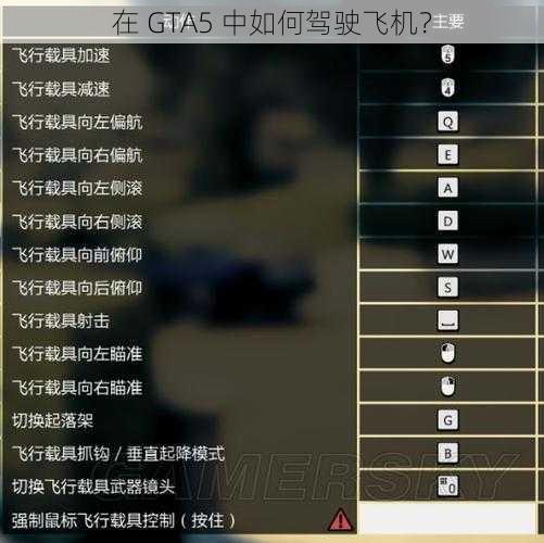 在 GTA5 中如何驾驶飞机？