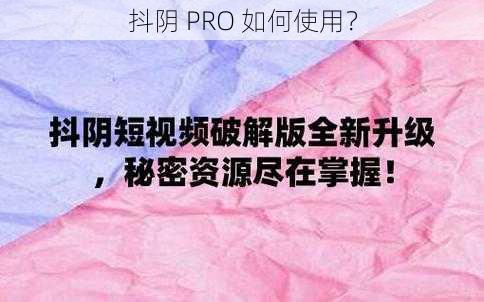 抖阴 PRO 如何使用？