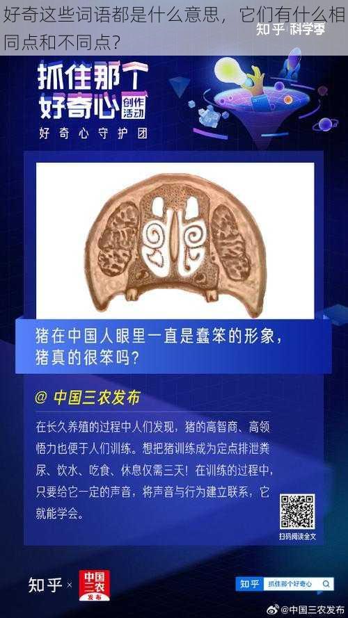 好奇这些词语都是什么意思，它们有什么相同点和不同点？