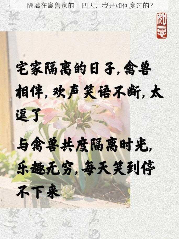 隔离在禽兽家的十四天，我是如何度过的？