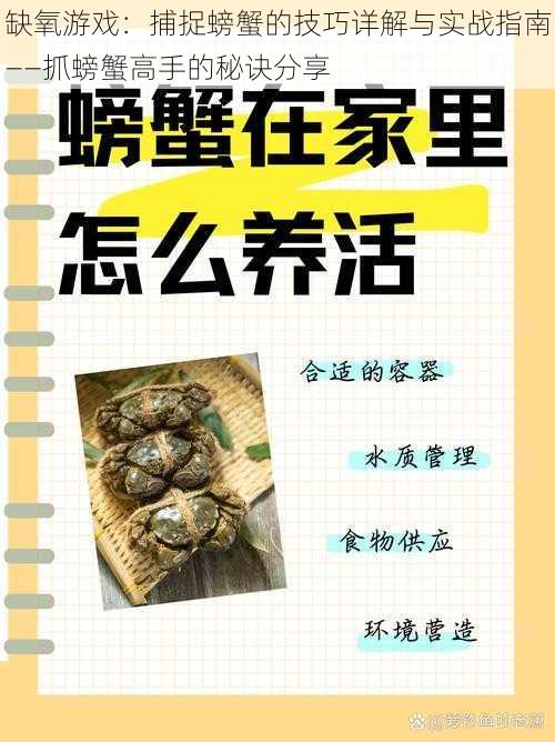 缺氧游戏：捕捉螃蟹的技巧详解与实战指南——抓螃蟹高手的秘诀分享