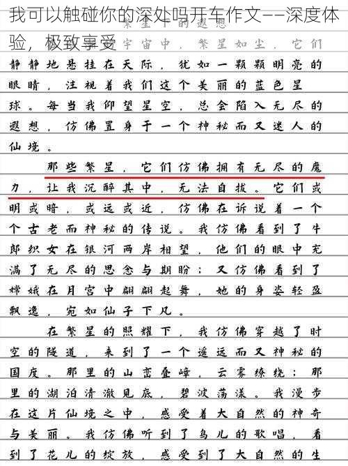 我可以触碰你的深处吗开车作文——深度体验，极致享受