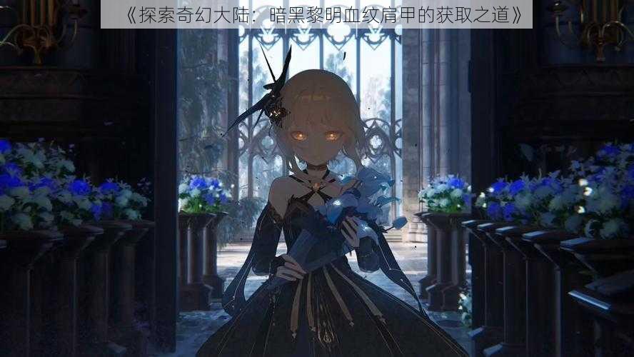 《探索奇幻大陆：暗黑黎明血纹肩甲的获取之道》