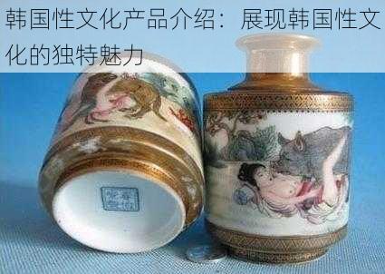 韩国性文化产品介绍：展现韩国性文化的独特魅力