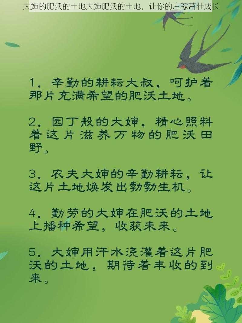 大婶的肥沃的土地大婶肥沃的土地，让你的庄稼茁壮成长