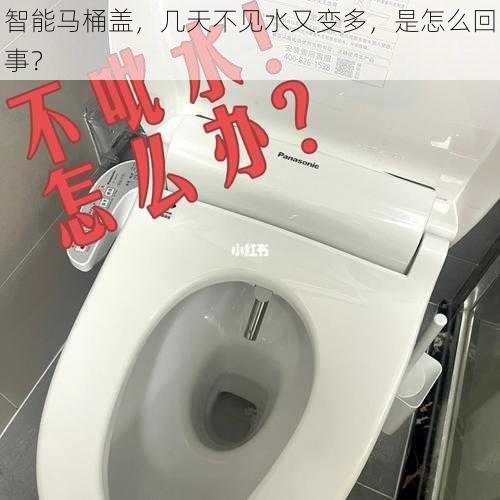 智能马桶盖，几天不见水又变多，是怎么回事？