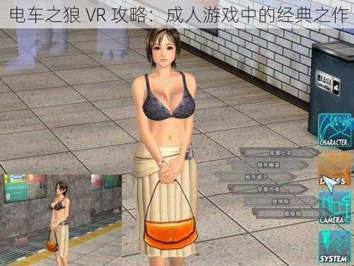 电车之狼 VR 攻略：成人游戏中的经典之作